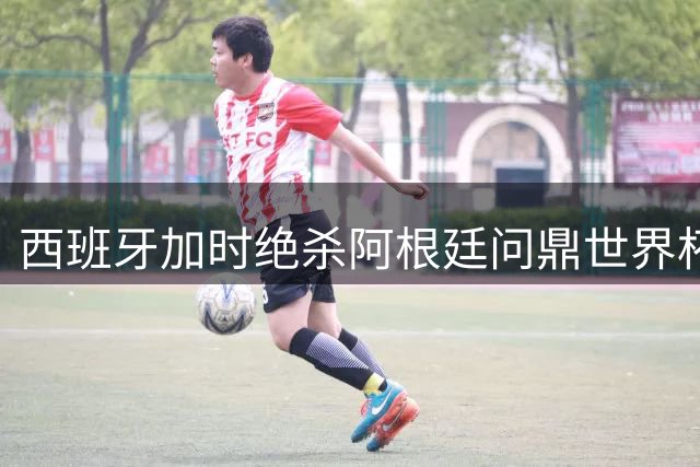 西班牙加时绝杀阿根廷问鼎世界杯 梅西梦碎卫冕之旅