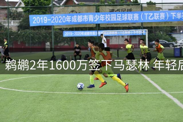 鹈鹕2年1600万签下马瑟林 年轻后卫或成球队新选择